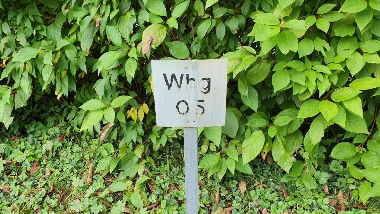 Ferienwohnung Fuer 5 Personen In Wasserburg Bagian luar foto